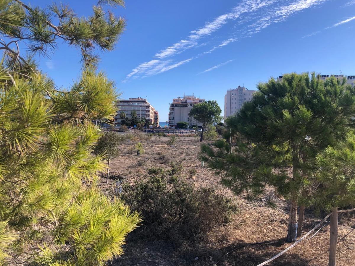 Amplio Apartamento Playa La Mata  Zewnętrze zdjęcie